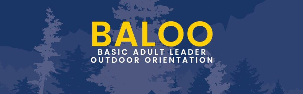BALOO banner pic lg
